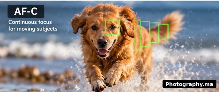af-c-continuous-autofocus-moving-subject