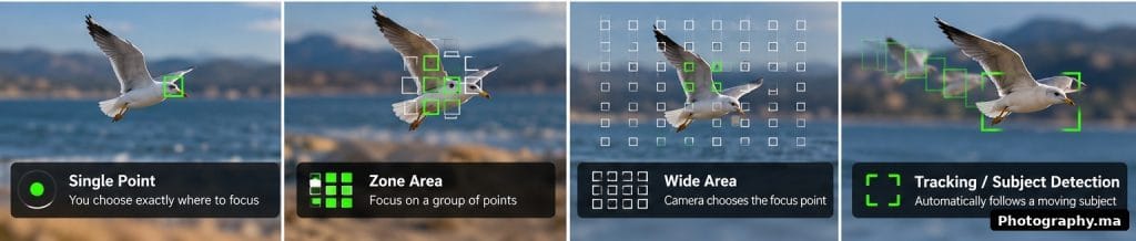 autofocus-focus-areas-comparison