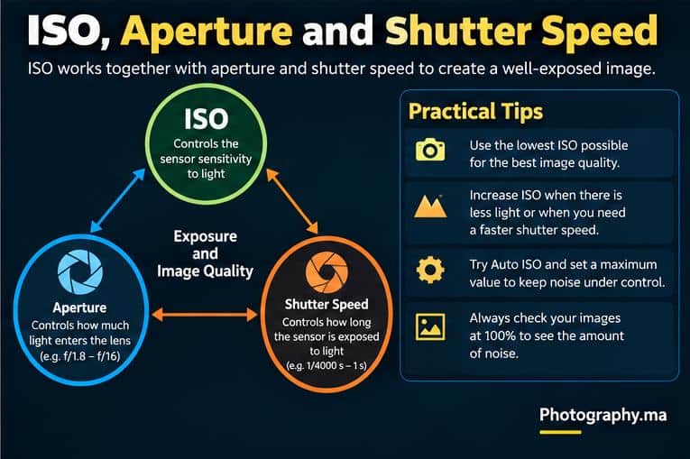 ISO aperture and shutter speed explained